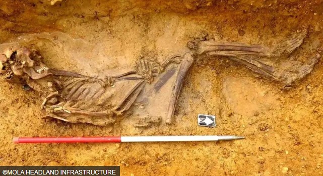 অতীতের অনেক তথ্য জানা গেল ২০০০ বছরের পুরনো কঙ্কালের ডিএনএ থেকে