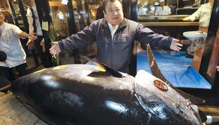 টোকিওতে নিলামে ১৬ কোটি টাকায় বিক্রি হলো বিশাল টুনা মাছ