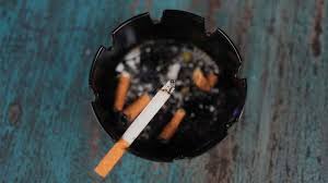 প্রতি সিগারেটে আয়ু কমে ২০ মিনিট: গবেষণা