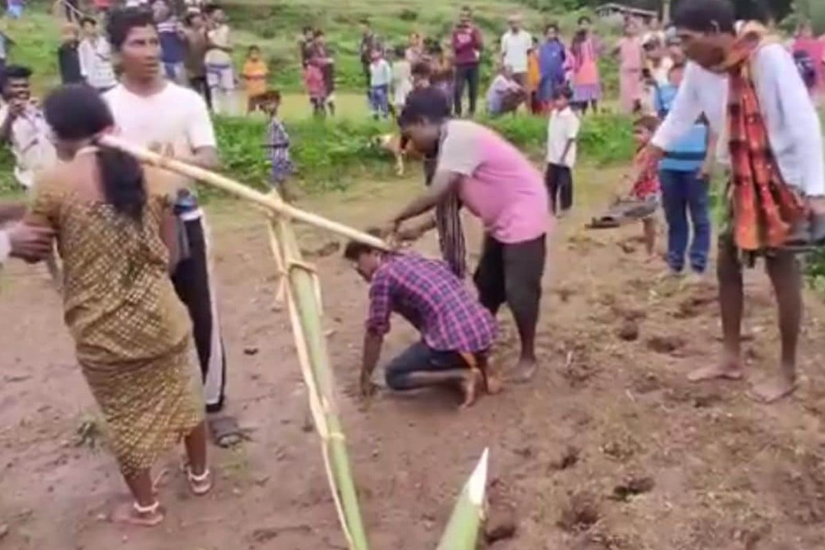 দূরসম্পর্কে বিয়ে, শাস্তি হালচাষ! ওড়িশায় নবদম্পতিকে গরুর মতো জোয়াল বেঁধে অপমান