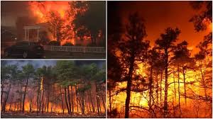 দাবানলে পুড়ছে ইসরায়েল, ফিলিস্তিনের সহায়তার প্রস্তাব