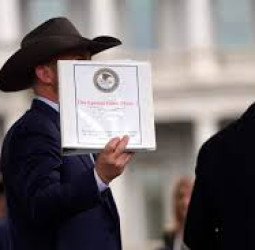 এপস্টেইন ফাইলে ক্রীড়া অঙ্গনের প্রভাবশালীদের নাম, বিতর্কে এফ১, ফুটবল ও এনএফএল