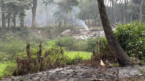 চন্দ্রিমা না জিয়া—নাম নয়, প্রশ্ন পরিবেশ ও দায়িত্বের