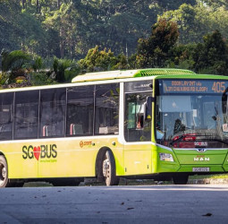 সিঙ্গাপুরের  ‘বিরল’ বাস সার্ভিস ৪০৫: ২০২৬ সালের সময়সূচি প্রকাশ