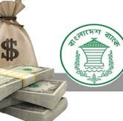 জানুয়ারির ২৪ দিনে রেমিট্যান্স এসেছে ২৪৮ কোটি ডলার