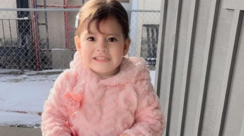 যুক্তরাষ্ট্রে দুই বছরের শিশুকে আটক করল অভিবাসন কর্মকর্তারা