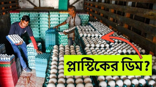 ‘প্লাস্টিক ডিম’ গুজব: বাড়িতে সহজেই পরীক্ষা করা সম্ভব