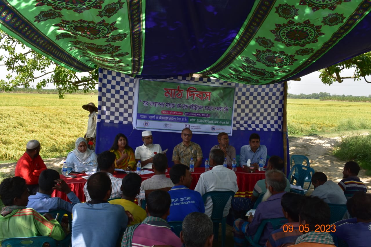 ইউরিয়া জাতীয় সারের সক্ষমতা বৃদ্ধির গবেষণা করছে রাবি’র কৃষি অনুষদ