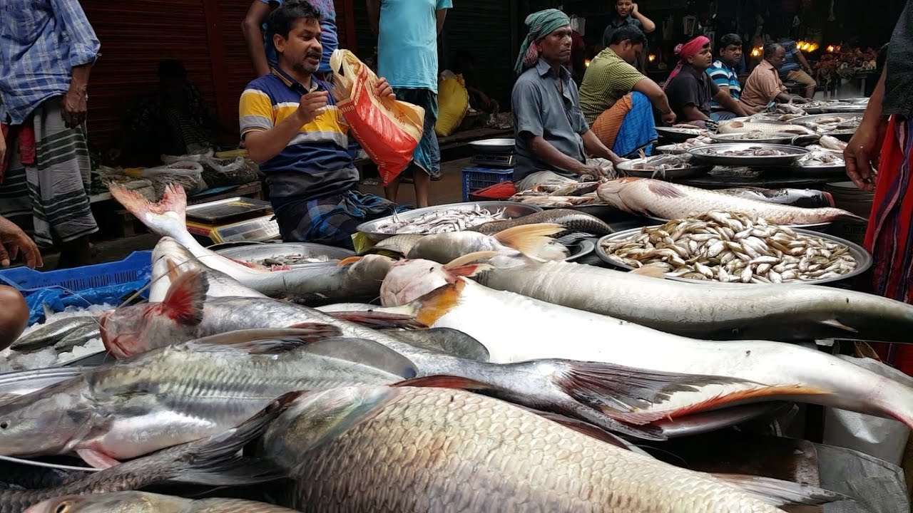 ‘বিষে’ ভাতে বাঙালির আমিষ ভোজন!